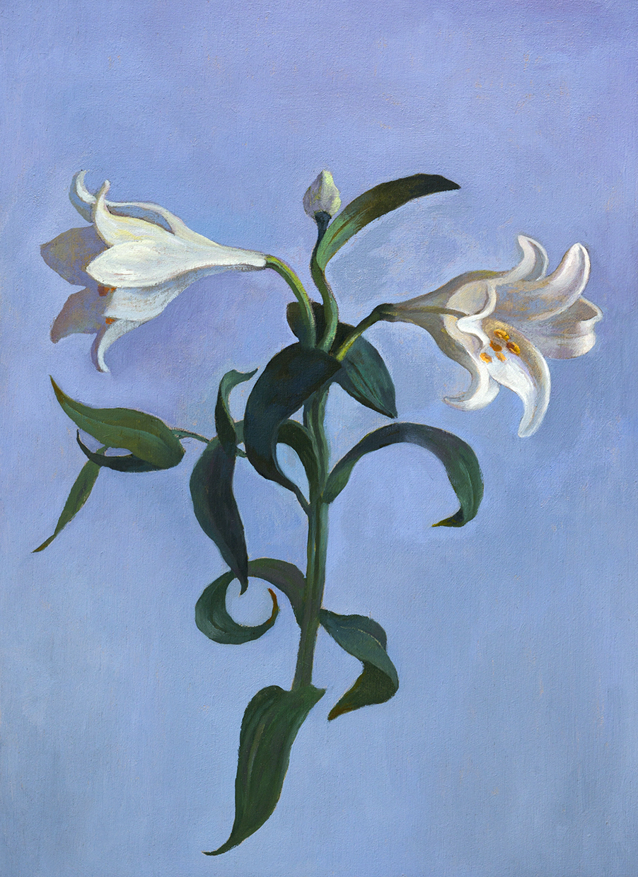 Flores blancas