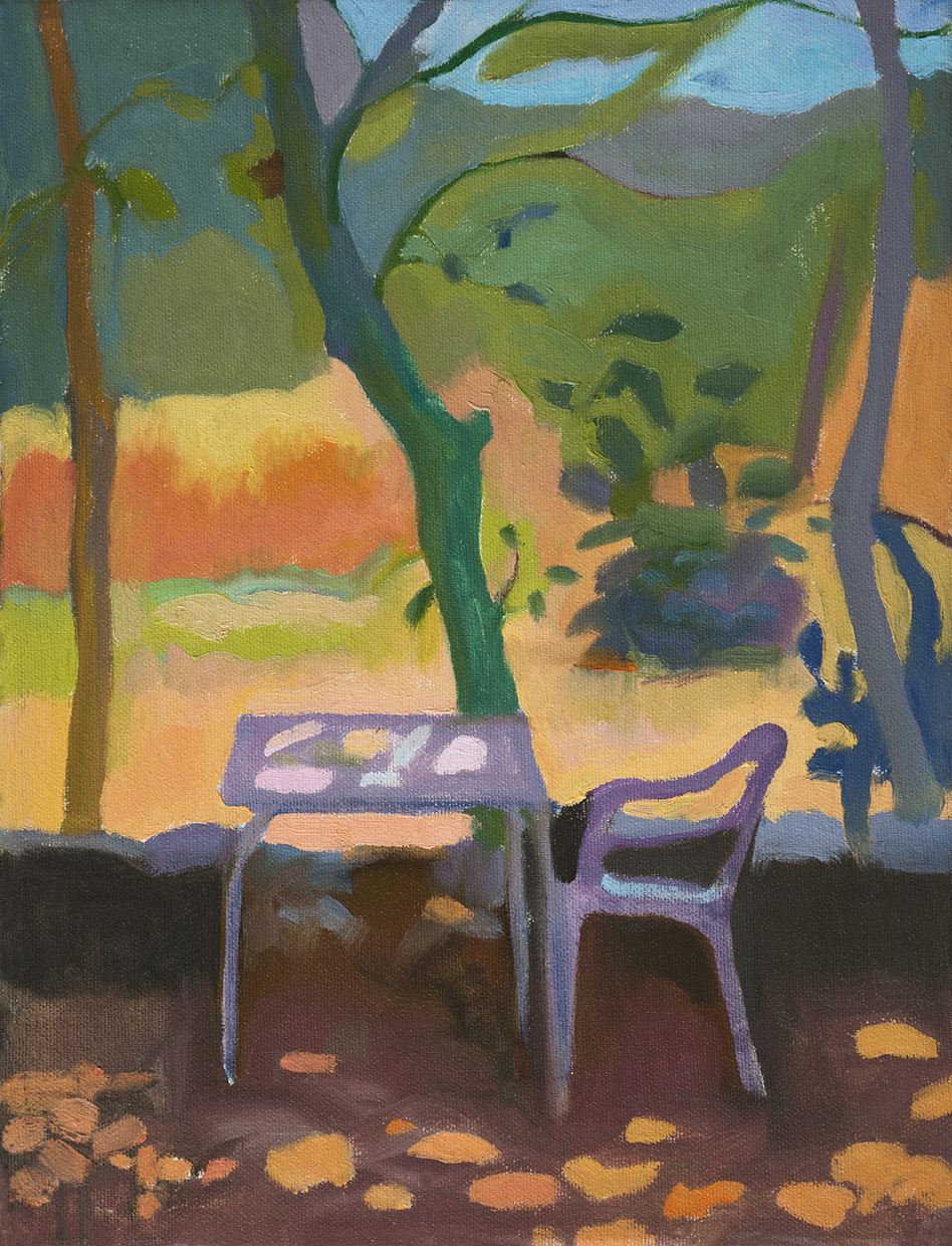 Mesa campo