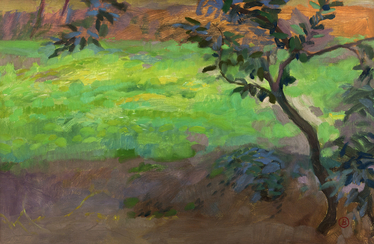 Campo