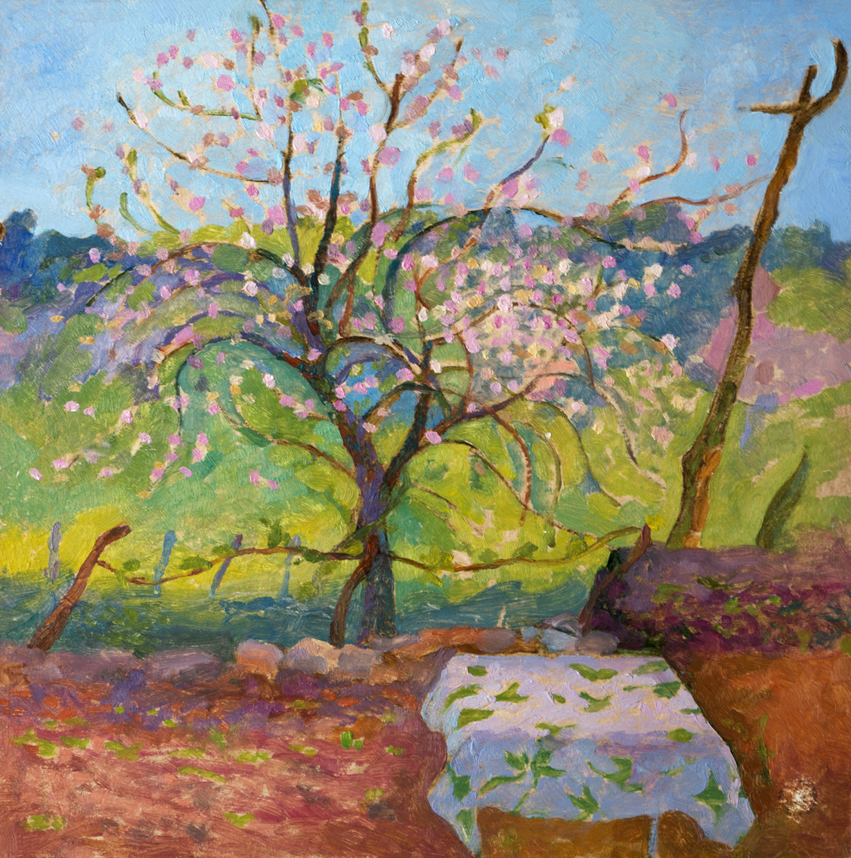 Cerezo en flor