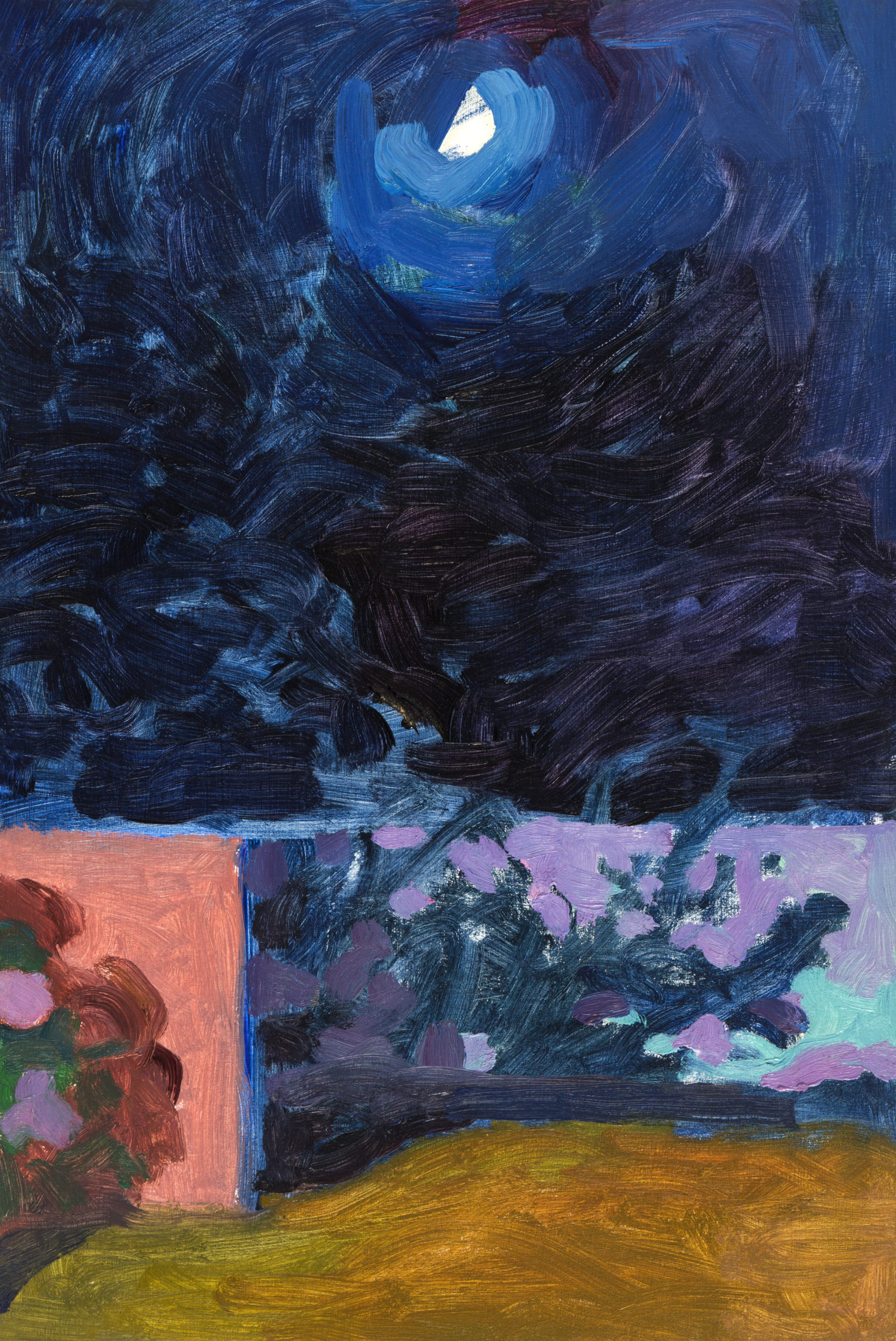 Nocturno con luna