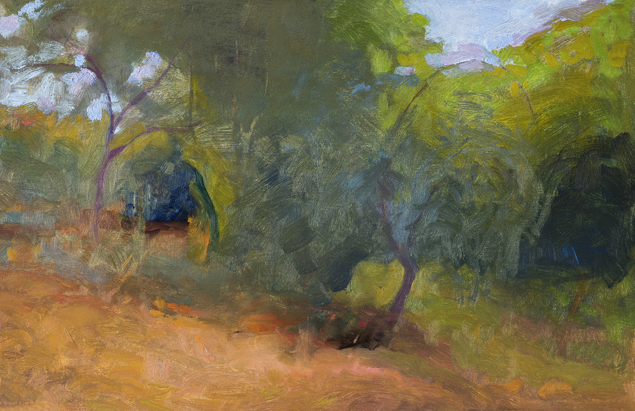 Paisaje flou