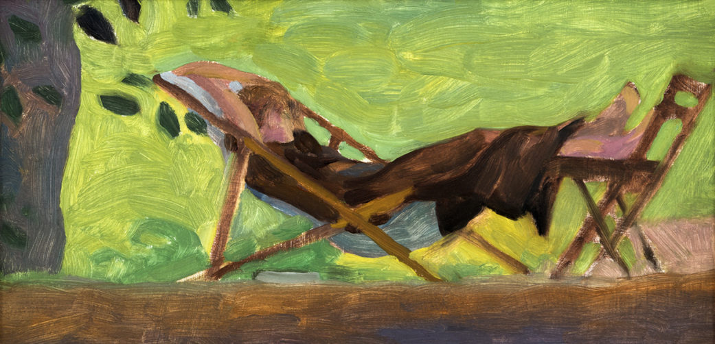 Siesta en el campo
