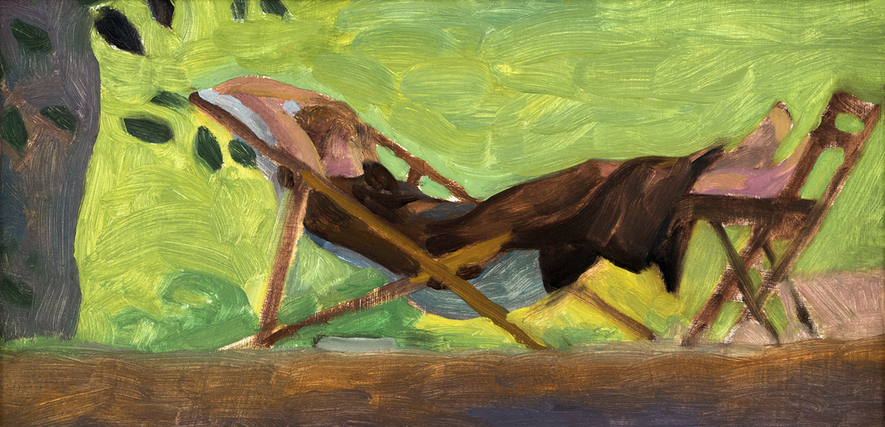 Siesta en el campo