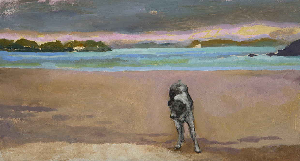 Perro en la playa