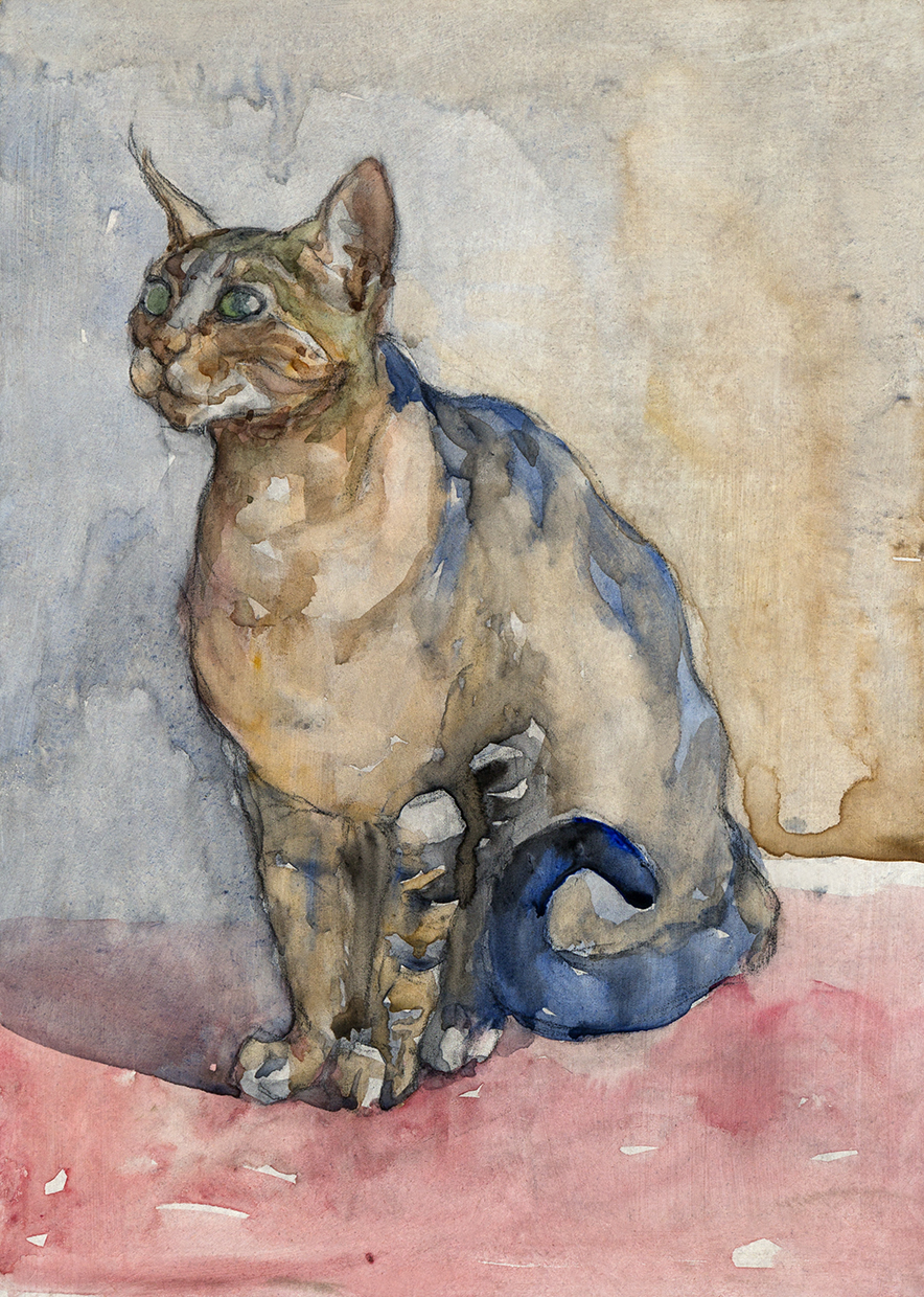 Gato acuarela