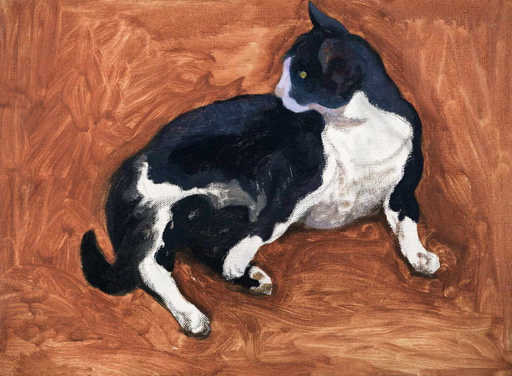 Gato recostado