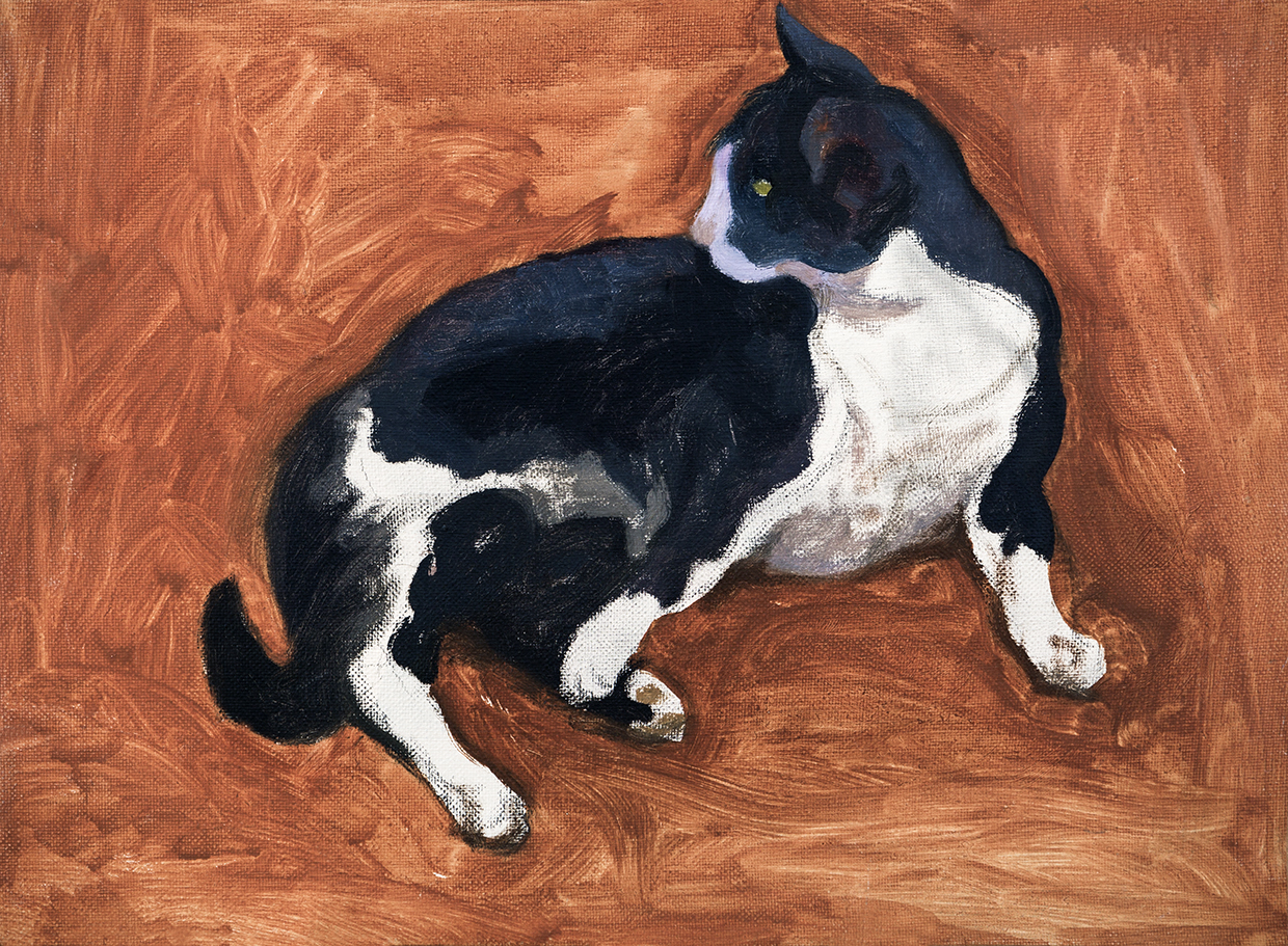 Gato recostado
