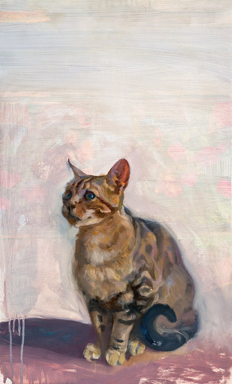 Gato sentado