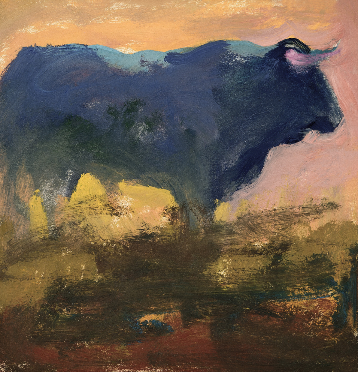 Toro campero