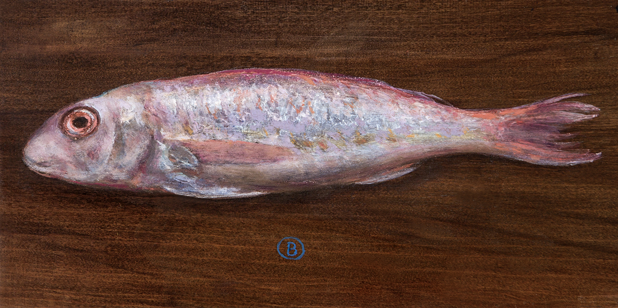 Salmonete